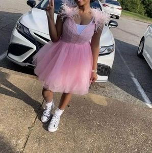 Meet your Posher, Chip